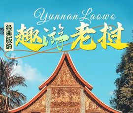 【趣游老撾 · 經典版納】—昆明、普洱、西雙版納、磨丁、瑯勃拉邦四動8日游